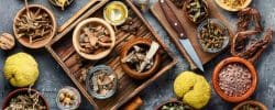 Which Plant Medicine Is Right for Me l Aloee Wellness